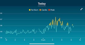 Fitbit Heart Rate Carbs