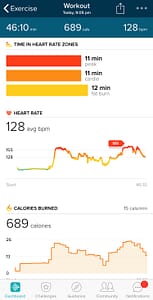 Fitbit Workout