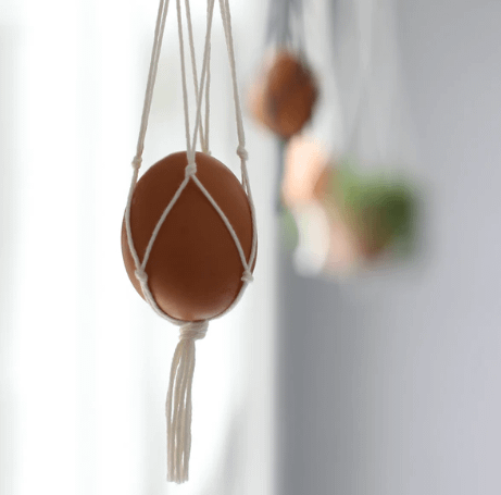 Hanging Egg